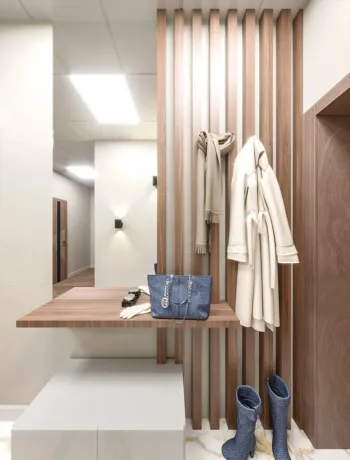 Интерьер прихожей с проходной в современном стиле смотреть на Basicdecor