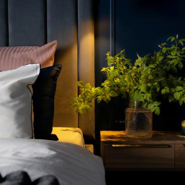 Интерьер спальни  смотреть на Basicdecor