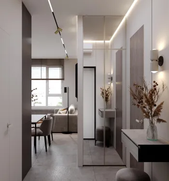 Интерьер прихожей с проходной, световыми линиями, зеркалом на двери и с подсветкой  смотреть на Basicdecor