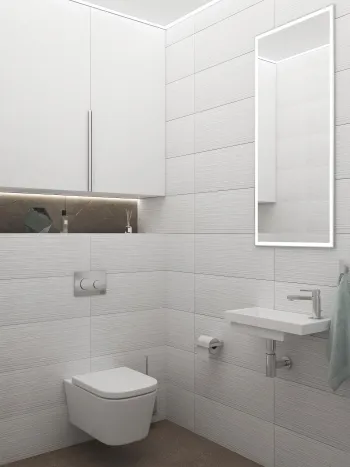 Интерьер ванной с зеркалом на двери в хай-теке смотреть на Basicdecor