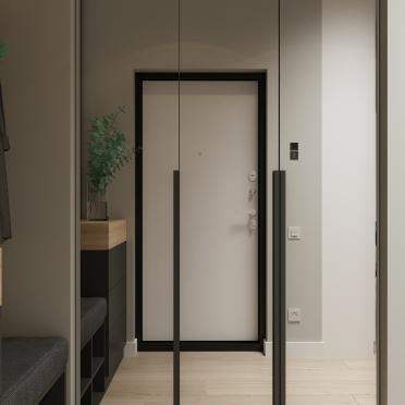 Интерьер прихожей с зеркалом на двери в современном стиле смотреть на Basicdecor