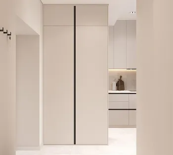 Интерьер прихожей с проходной, две двери, шкафами вокруг двери, перегородкой раздвижной и зеркалом на двери  смотреть на Basicdecor