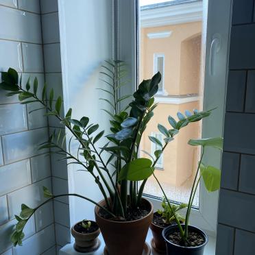 Интерьер ванной  смотреть на Basicdecor
