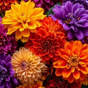 Интерьер  смотреть на Basicdecor