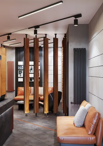 Интерьер гостиной с зонированием рейками в стиле лофт смотреть на Basicdecor