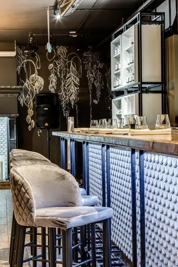 Интерьер с барной стойкой в современном стиле смотреть на Basicdecor