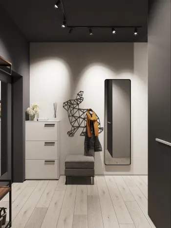 Интерьер прихожей с зеркалом на двери  смотреть на Basicdecor