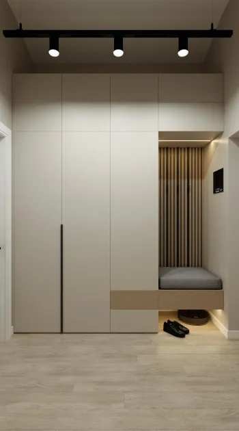 Интерьер прихожей с проходной и шкафом у кровати  смотреть на Basicdecor