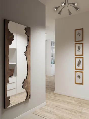 Интерьер с зеркалом на двери в современном стиле смотреть на Basicdecor