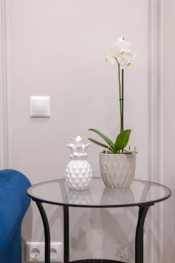 Интерьер в неоклассике смотреть на Basicdecor