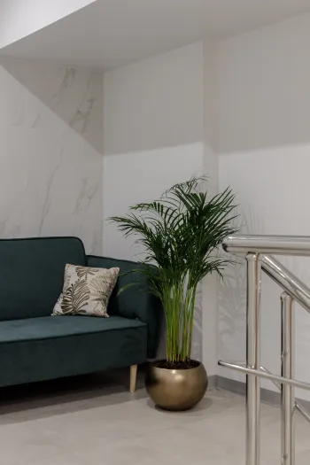 Интерьер прихожей  смотреть на Basicdecor