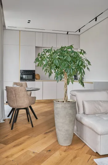 Интерьер  смотреть на Basicdecor