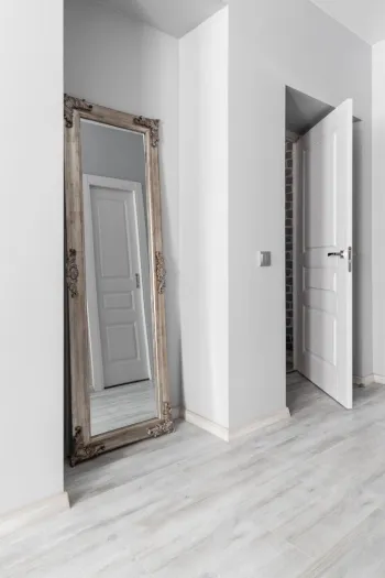 Интерьер с зеркалом на двери  смотреть на Basicdecor