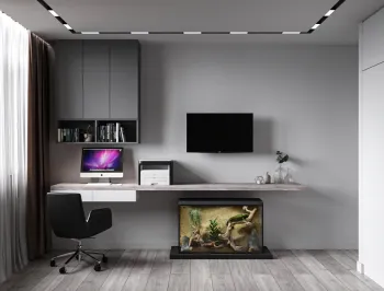 Интерьер c рабочим местом  смотреть на Basicdecor