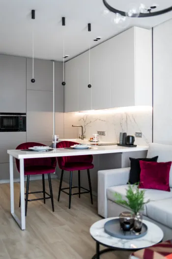 Интерьер кухни с объединенной гостиной в современном стиле смотреть на Basicdecor