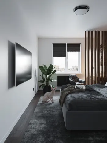 Интерьер спальни с телевизором на стене в современном стиле смотреть на Basicdecor