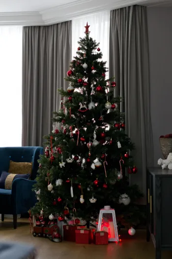 Интерьер гостиной  смотреть на Basicdecor