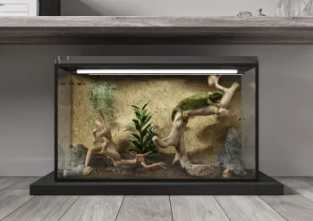 Интерьер  смотреть на Basicdecor