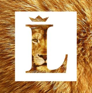 фото Leones-design