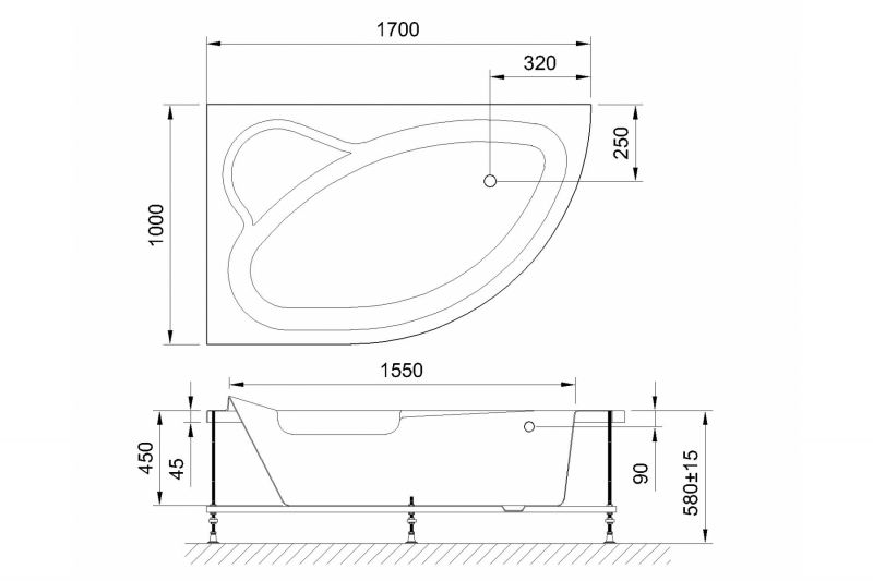 Акриловая ванна Royal Bath Alpine Standart RB819102ST-L 170x100 фото 2