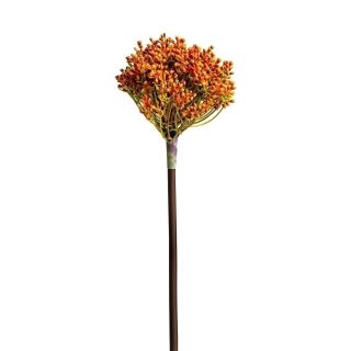 Растение Vical ALLIUM оранжевое 170977