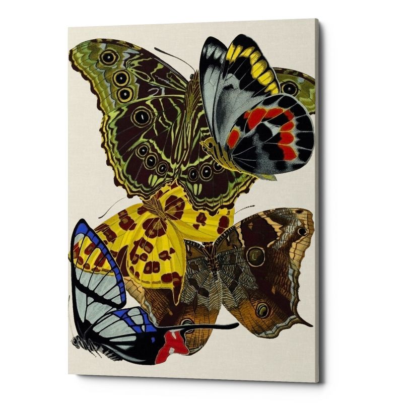 Картина «Бабочки мира», версия 7 (холст, галерейная натяжка) ByObject  BD-1945843