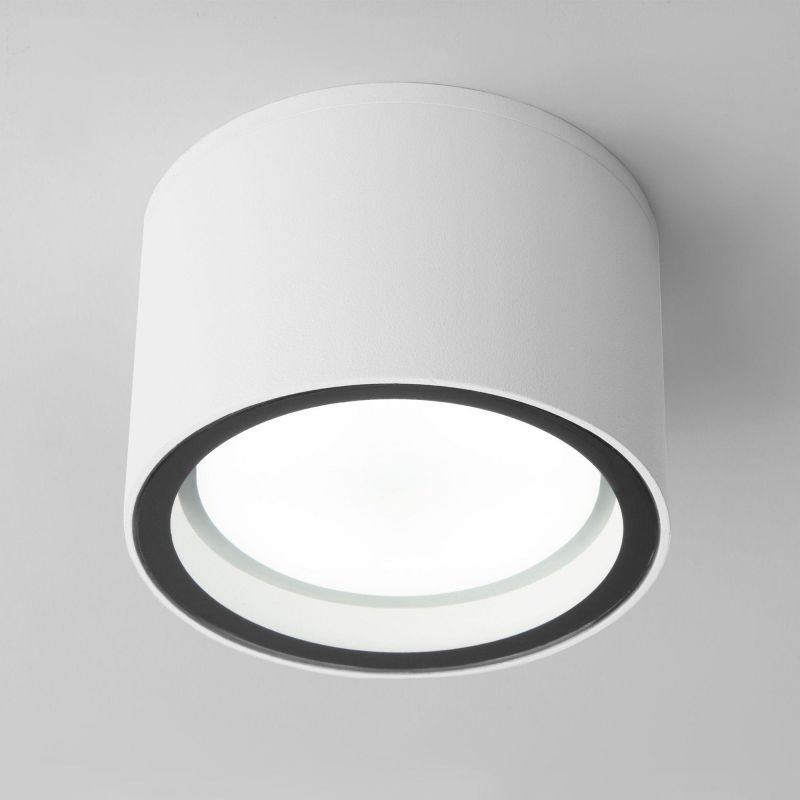 Накладной влагозащищенный светильник Elektrostandart Light IP54 35144/H белый