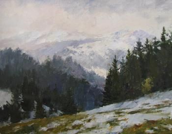 Картина "Этюд #1. Из серии "Пленэр в Закарпатье"" Родионов Игорь фото 1