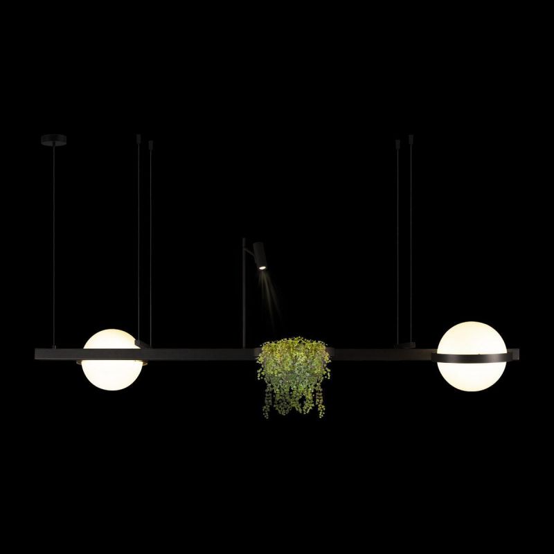 Подвесной светильник LOFT IT Jardin LED 3000К 75W 10121/D фото 2