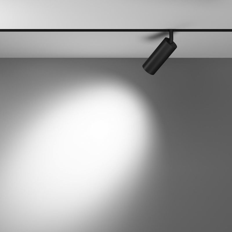 Трековый светильник Maytoni Focus LED 2700-6000К(теплый, белый, холодный) 12W TR032-4-12WTW-M-DD2-B фото 4