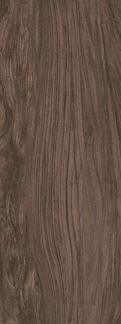 Kerama Marazzi SG072300R6 Walnut American 119,5x320х6