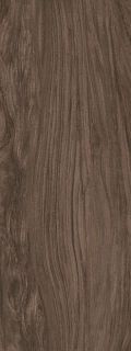 Kerama Marazzi SG072300R6 Walnut American 119,5x320х6