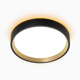 Светильник с подсветкой Citilux ETALON IP40 3000-4000-5500К(теплый-белый-холодный) CL750181