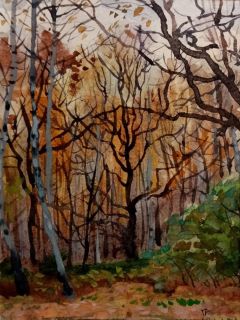Картина "Осень, закат, опушка леса" Гаянэ Добровольская