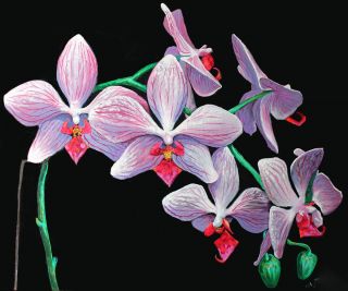 Картина "Большие орхидеи" Александр Ширшов