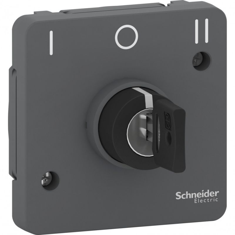Выключатель Schneider Electric  BD-1493456