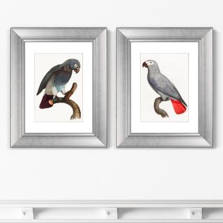 Диптих Beautiful parrots №2, 1872г. (из 2-х картин) BD-1763502