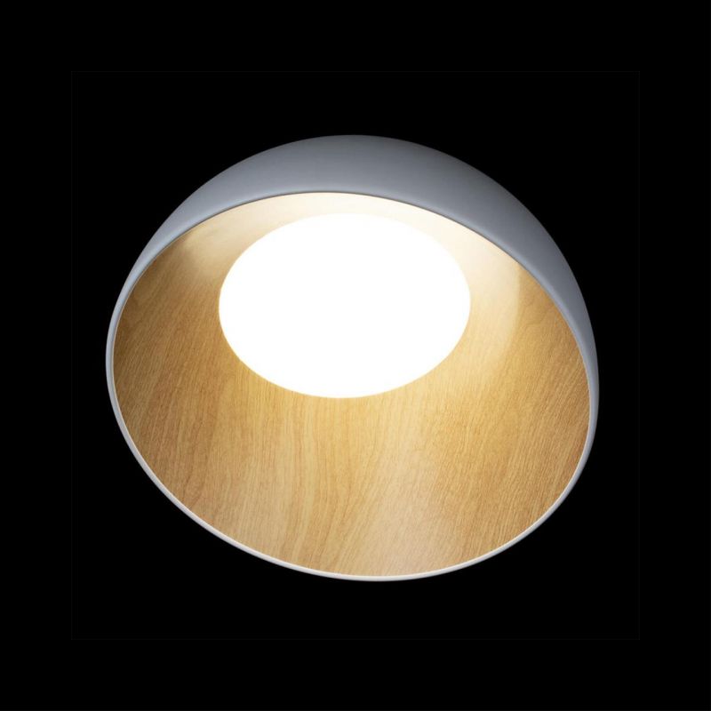 Потолочный светильник Loft It (Light for You) Egg 10197/350 White