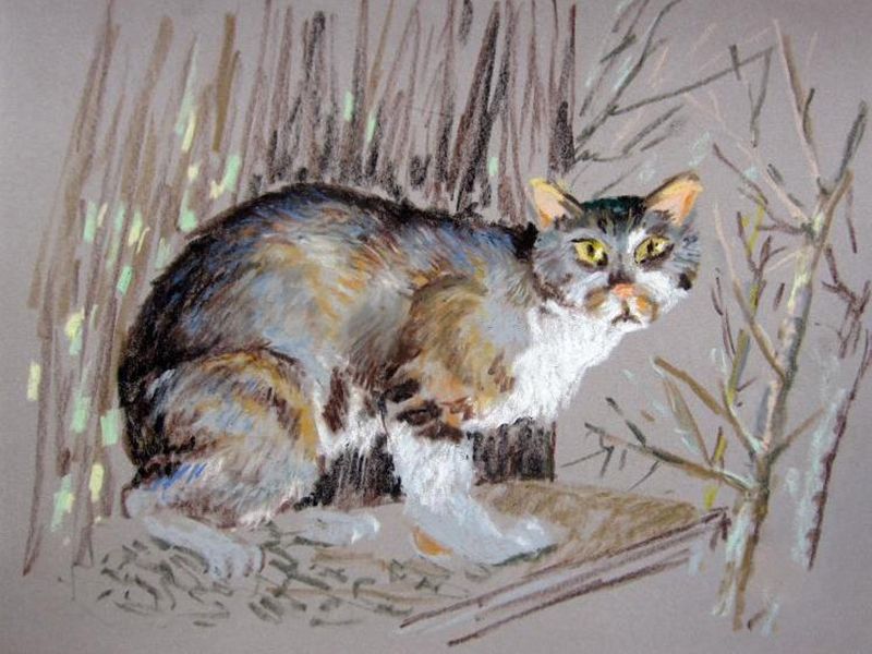 Картина "Средиземноморские кошки" Елена Березина