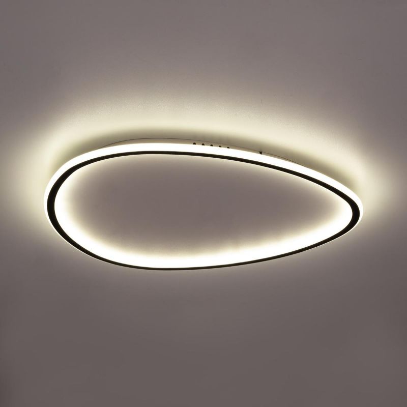 Люстра с пультом Citilux ТRIO 90W RGB LED 3000-5500 CL215B261E фото 6