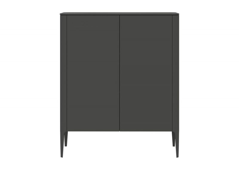Шкаф  Ellipsefurniture Type 2 двери низкий (темно-серый) TY010306400101 фото 1