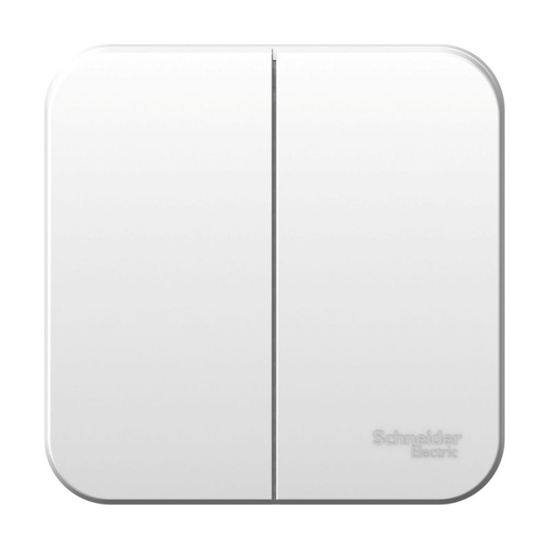 Выключатели шнайдер 2 клавишный. Выключатель 2-клавишный Schneider Electric Blanca. Звонковый выключатель 2 клавишный. 2-Клавишный выключатель systeme Electric Blanca внутренний. Dusel двух клавишный.