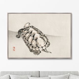 Репродукция картины на холсте Turtle, 1885г. ArtNoMore BD-2090824