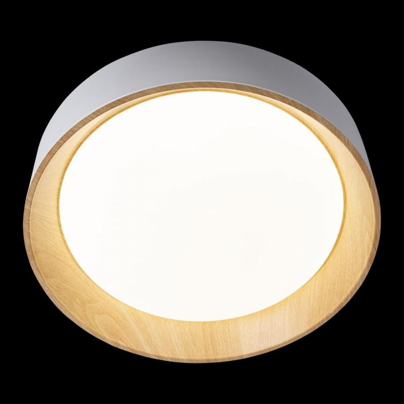 Потолочный светильник Loft It (Light for You) Coin 10202 White фото 4