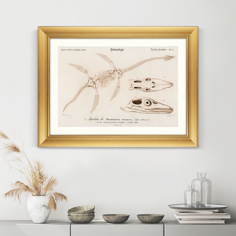 Репродукция картины в раме Plesiosaurus, 1849г. ArtNoMore BD-2090839 фото 3