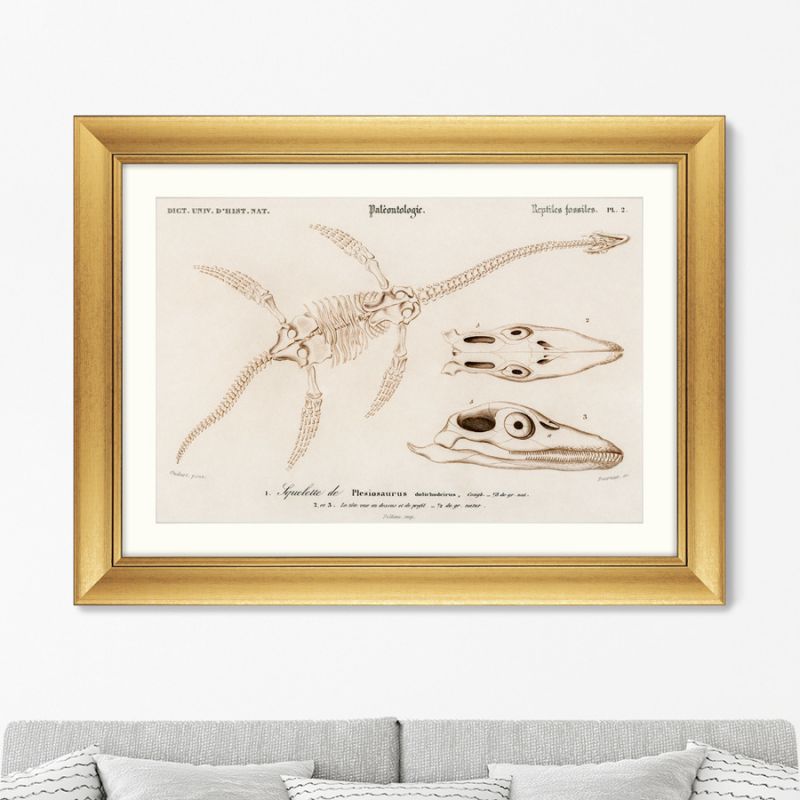 Репродукция картины в раме Plesiosaurus, 1849г. ArtNoMore BD-2090839 фото 1