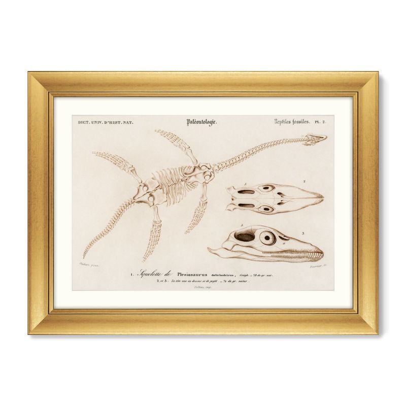 Репродукция картины в раме Plesiosaurus, 1849г. ArtNoMore BD-2090839 фото 2