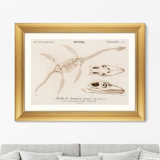 Репродукция картины в раме Plesiosaurus, 1849г. ArtNoMore BD-2090839