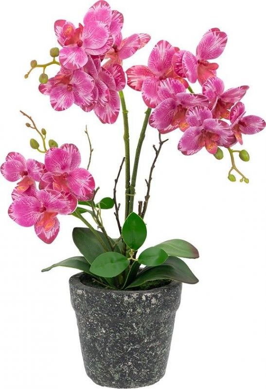 Растение декоративное Орхидея 26х12х46см BD-2864349