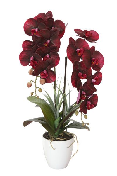 Орхидея Garda decor BD-165144 фото 1